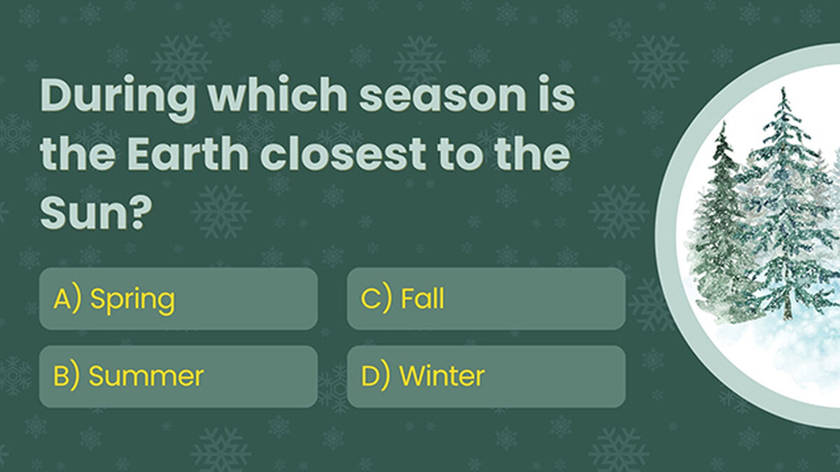 Winter Trivia image number null